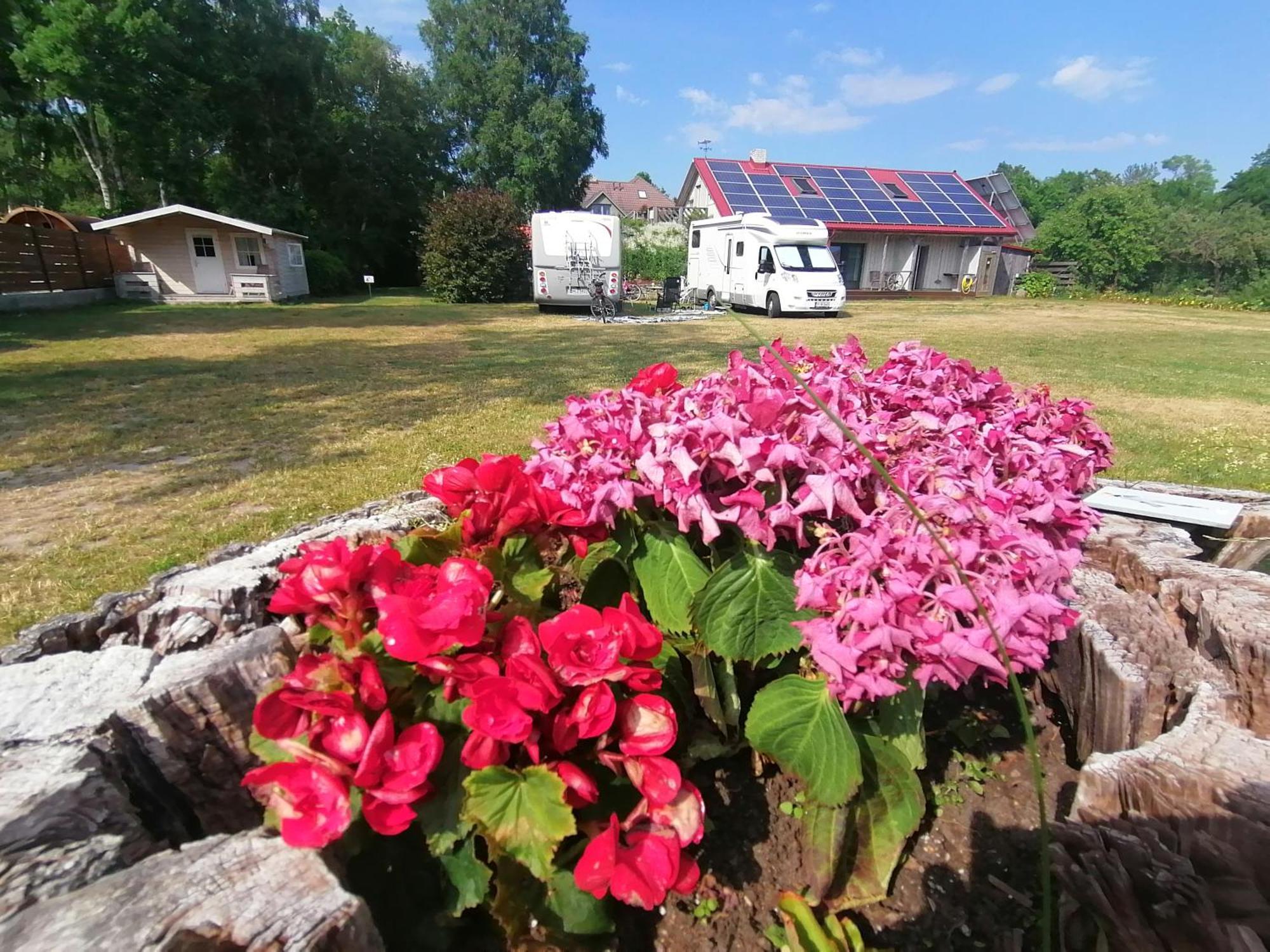 Piibelehe Guest Accommodation Курессааре Экстерьер фото