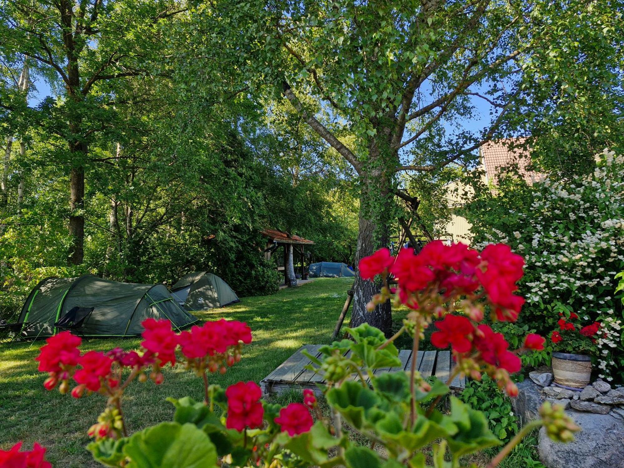 Piibelehe Guest Accommodation Курессааре Экстерьер фото